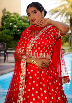 Adorable Red Color Raw Silk Hand Work Bridal Lehenga Choli