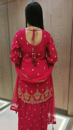 Rani Color Chinnon Machine Embroidered Palazzo Dress